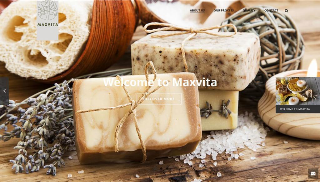 Maxvita-Website-Design